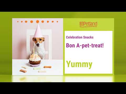 Petland Wichita Has The Finest Foods & Treats For Your Pooch