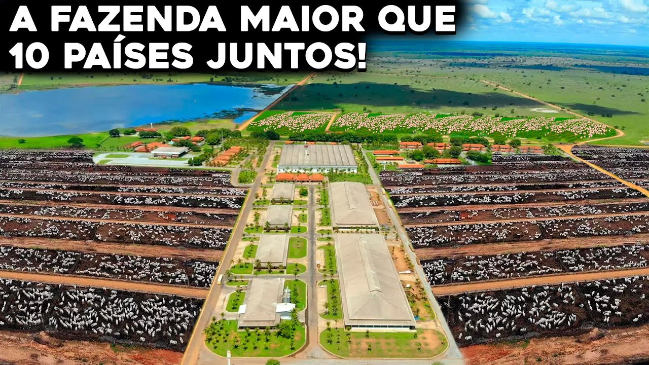 ESSA É A NOVA MAIOR FAZENDA DO BRASIL? MAIOR QUE 10 PAÍSES JUNTOS!