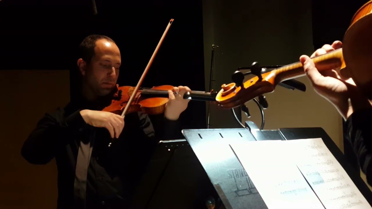 Promotional video thumbnail 5 for Sonorous Strings