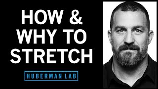 Improve Flexibility with Research-Supported Stretching Protocols | Huberman Lab Podcast #76