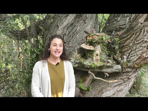Magical fairy village offers light-hearted fun in Bozeman