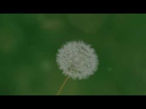 Er Utemiljö - Vår glädje