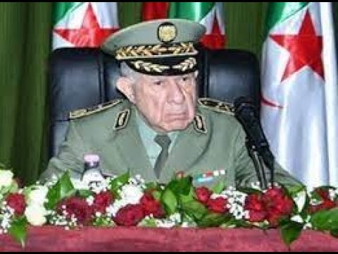 شنقريحة يتمادى في اكاذيبه و ينصّب نفسه وصيا على الجزائر