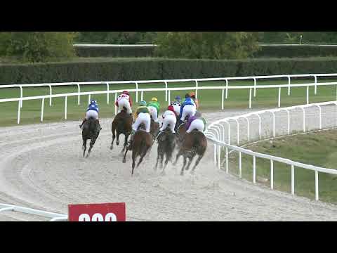 2019.10.06. 07. futam - AMATŐRVERSENY HENDIKEP (V.o.) (szintetikus pálya)