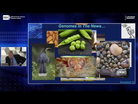 Director's Report (September 2019) - Eric Green