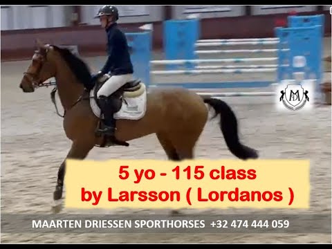 201119 5yo by Larsson (Lordanos) 115class