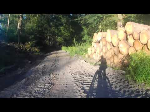 Ersten Meter mit dem KTM Macina Team eMTB