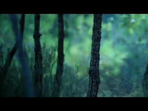 Ïza Feat Hendrick G - Mon seul Espoir (Audio Officiel)