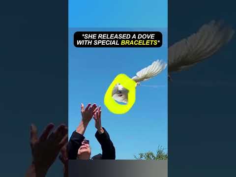 Dove came back to see mom one last time 🥺