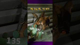 my dog is already worried about AI, now this. #doggone #dogmoms #rescuedogs #vr #vrgaming #fps