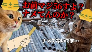 ブラックすぎる建築業の派遣の1日　#猫ミーム　#猫マニ
