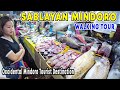SABLAYAN TOWN Discovering The Hidden Gem Of Occidental Mindoro WALKING TOUR