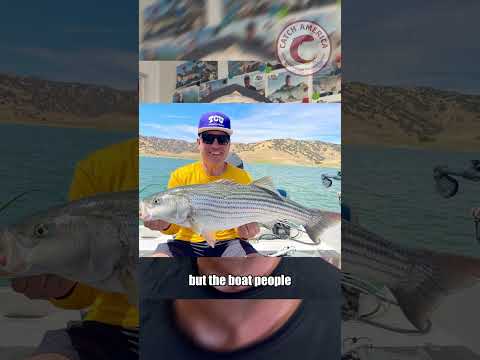 San Luis Reservoir Fishing Report | July 27, 2026