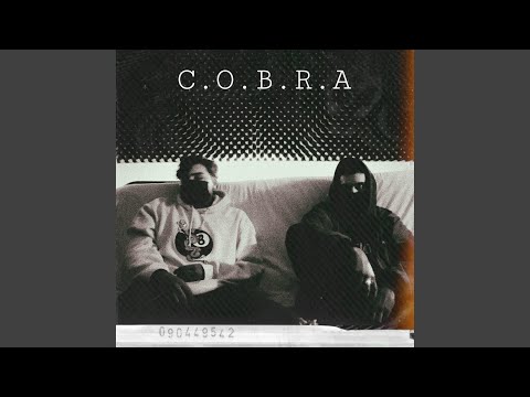 C.O.B.R.A (feat. GUVI)