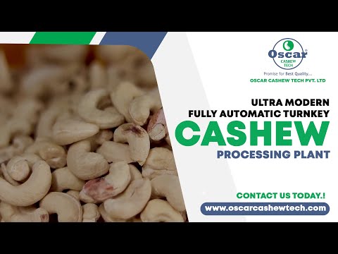 Cashew Nut Boiler With Steam Cooker
