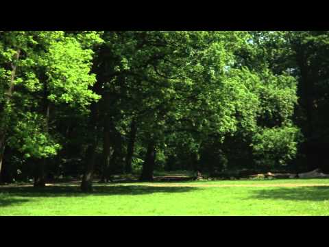 Bomenridder Isolde   (Portret Documentaire)