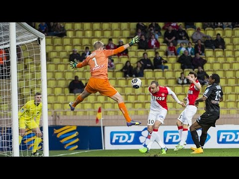 Berbatov's goal during Monaco - Guingamp !