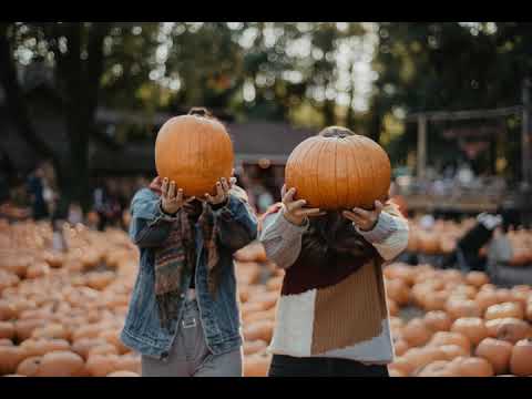 2fox, Nadine Cesar - Move (THEMBA's Herd Remix)