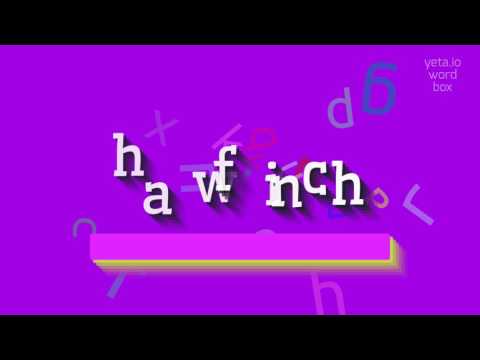 HAWFINCH - HOW TO SAY HAWFINCH?