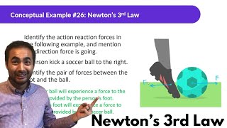 Newton's Laws | Conceptual Physics | Newton's 3rd Law