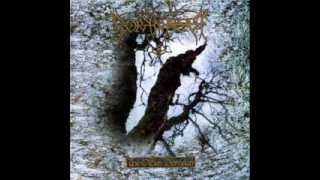 Borknagar - The eye of Oden