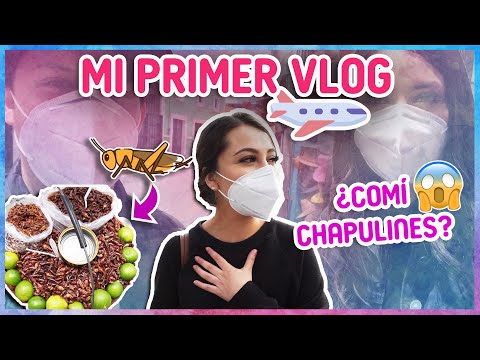 Mi Primer VLOG l Boda Inesperada 🤵🏻👰🏻