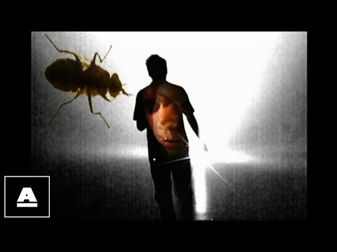 Oceansize - Catalyst HD