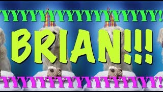 HAPPY BIRTHDAY BRIAN! - EPIC Happy Birthday Song