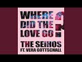Where did the love go? (feat. Vera Gottschall ...