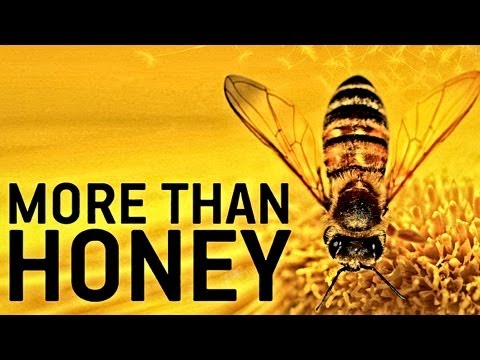 More Than Honey (2012) Trailer