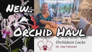 New Orchid haul from Orchideen Lucke - Unboxing video