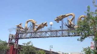 See the dragons for harmony, prosperity, and good luck