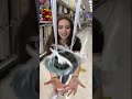 Flying chinchilla