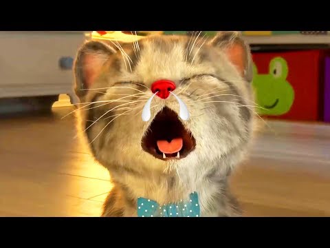 Cute Kitten Adventures My Favorite Cat - Children's Cartoons | Episode 2