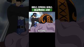 원피스) 에이스 모욕하는 바제스 참교육하는 사보 #원피스