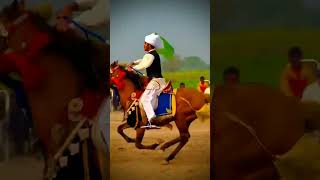Download lagu MaashAllah chota bacha Neza Baz bhot acha style /#beautiful #horse#youtubeshorts#animals#baby mp3