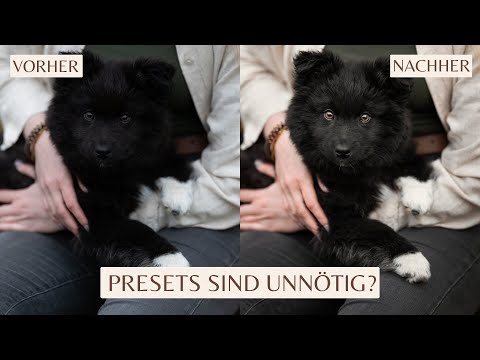 Deswegen nutze ich keine Presets. #hundefotografie