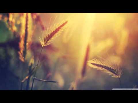 DJ Noor & Stefan Addo - Distances (Harri Agnel Remix)