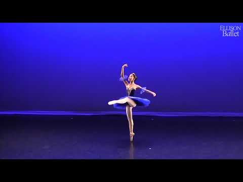 Ellison Ballet - Professional Training Program