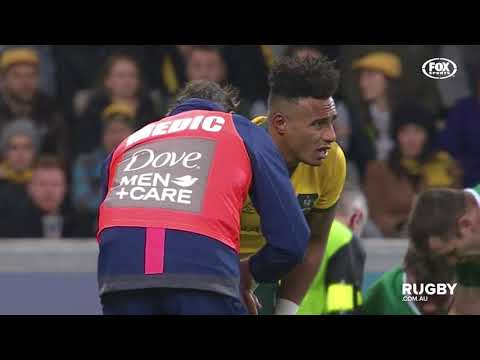 Who will lift the Lansdowne Cup in the decider?