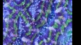 Terminal - Rupert Holmes