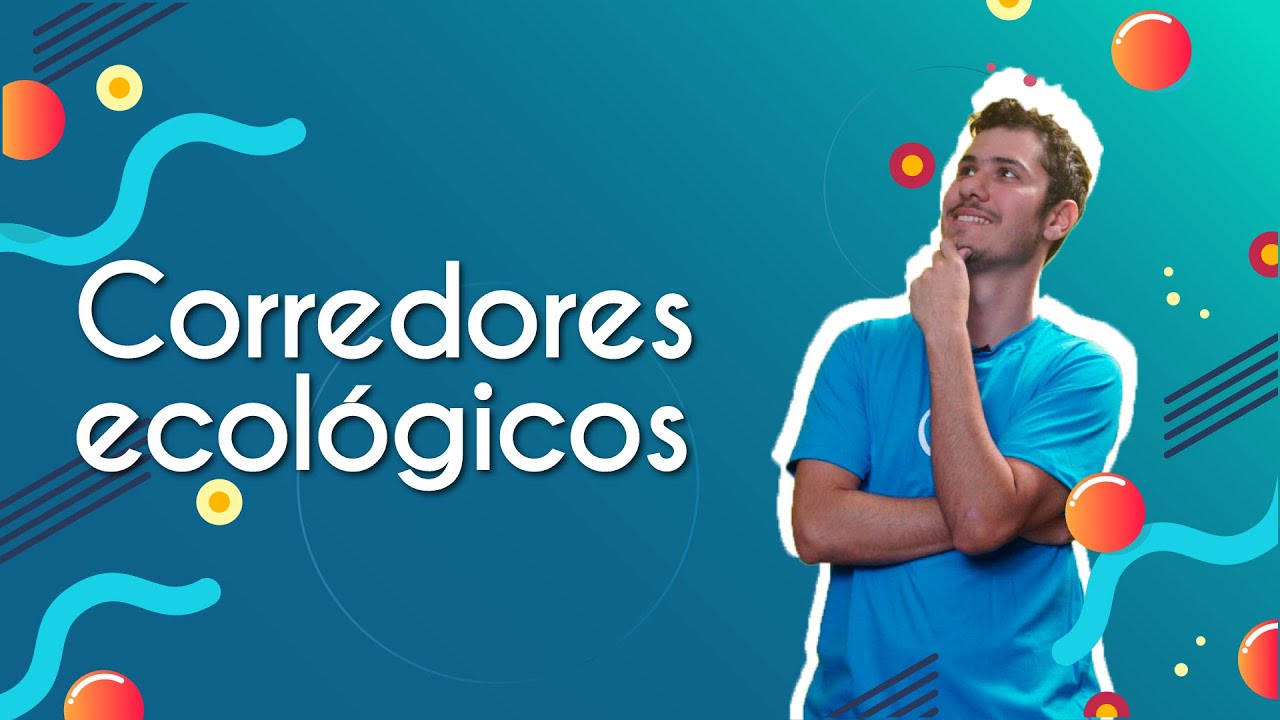 Corredores Ecológicos - Brasil Escola