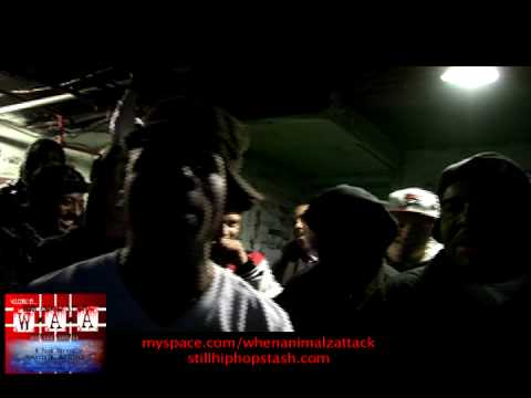 Amazing D-Boy vs Skitzo