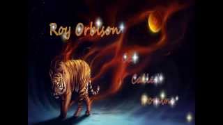 Roy Orbison - Cat Called Domino