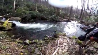 Video from my trip with my father along Hazel Creek Trail.