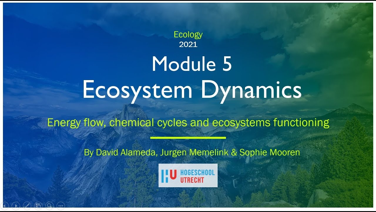 Module 5   Ecosystem dynamics