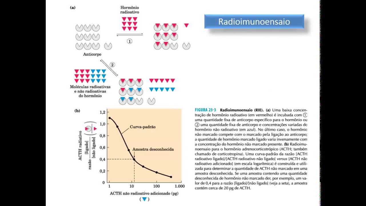 Bioquímica Clínica: Avaliação laboratorial da função endócrina