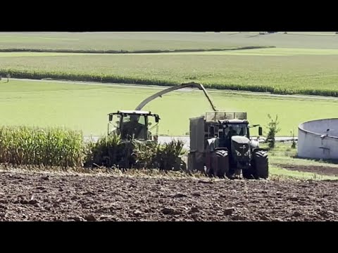 Mais häckseln mit dem CLAAS Jaguar 860