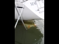 How To Clean A Rudder