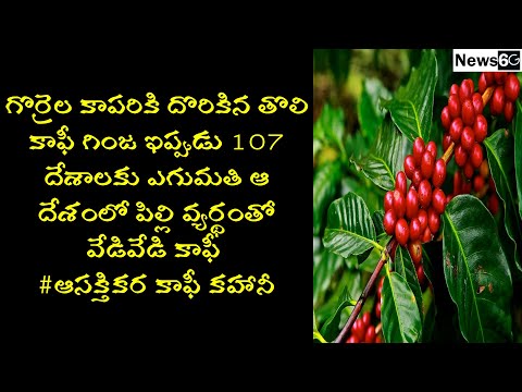 history of coffee in telugu